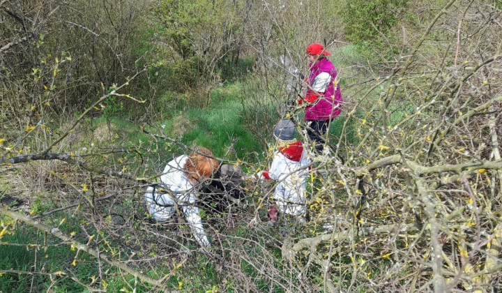 16.ročník enviro -dňa Mikroregionu Domica